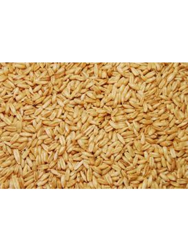 AVENA BLANCA 30 Kg