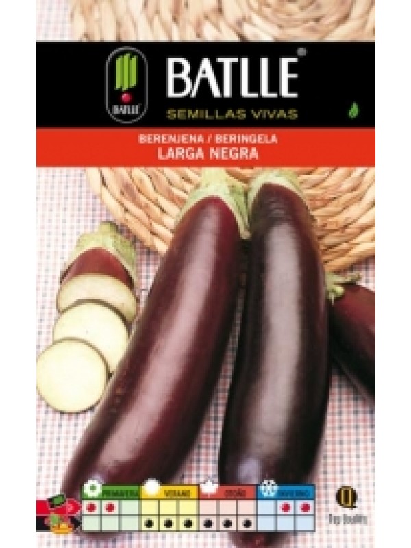Semillas BERENJENA LARGA  NEGRA SOBRE