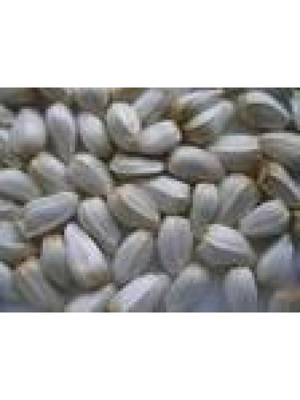 CARDI 250 grs