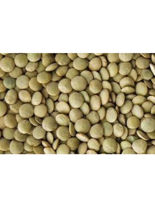 Lenteja Salamanca ecologica € / kg