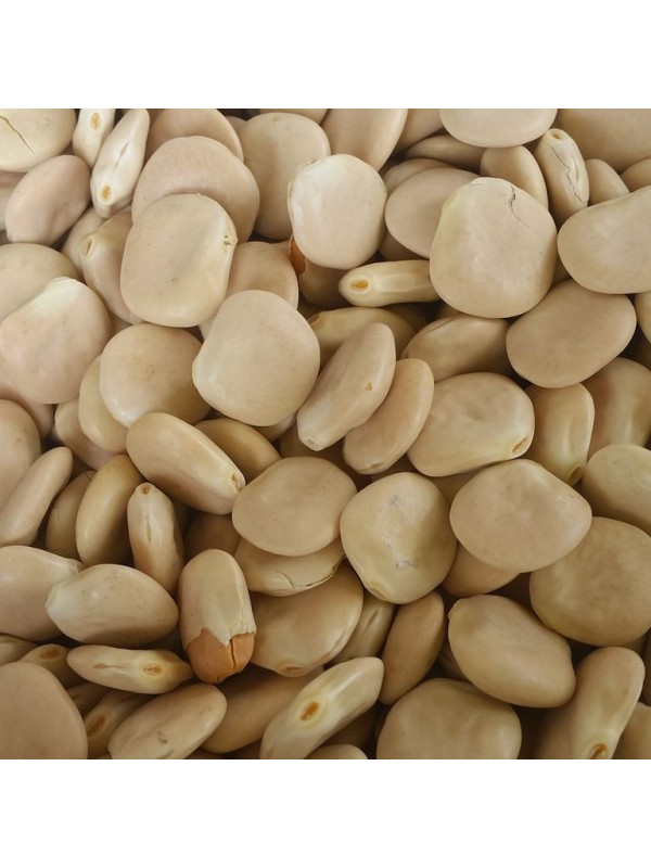 Altramuces € / kg
