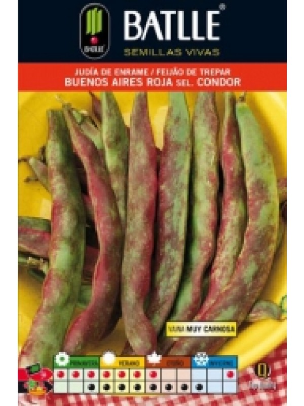 Semillas JUDIA BUENOS ARIES ROJA 250 grs