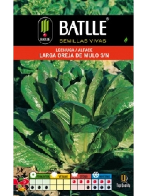 Semillas LECHUGA LARGA OREJA DE MULO sobre