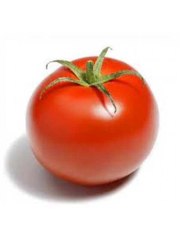 Plantel Tomate Palosanto