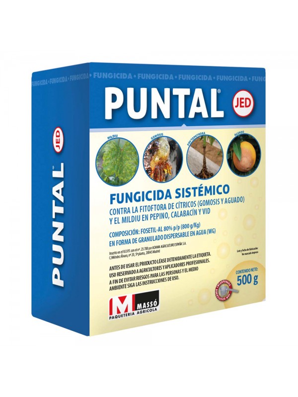 Jed Puntal 500 grs Masso