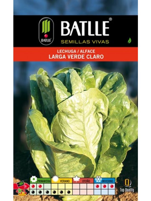 Semillas LECHUGA ROMANA sobre