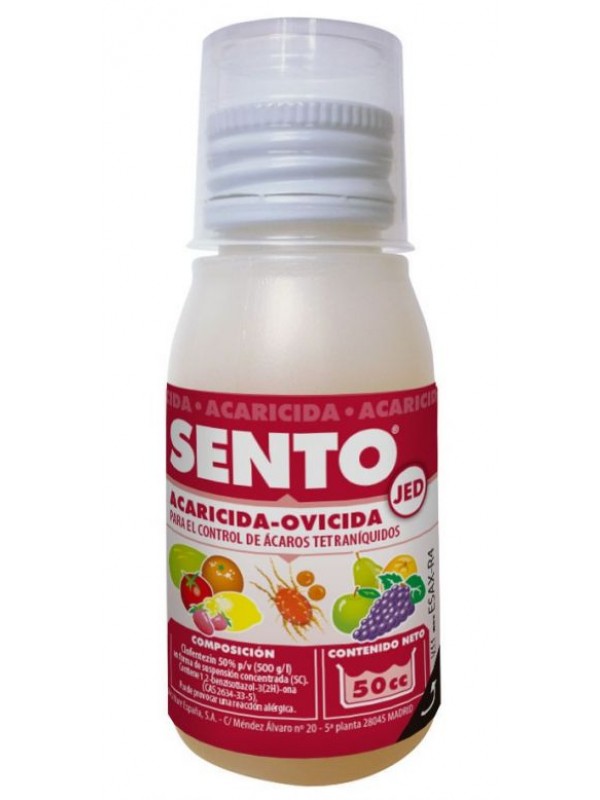 Jed Sento 8 cc Masso 