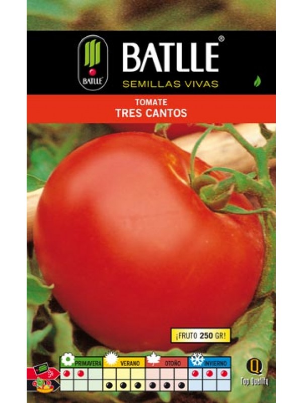 Semillas TOMATE 3 CANTOS sobre