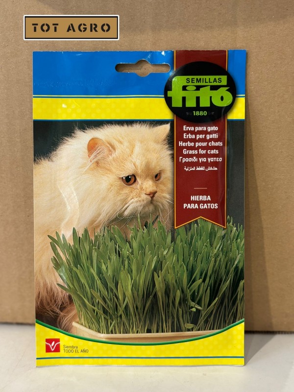 HIERBA GATOS