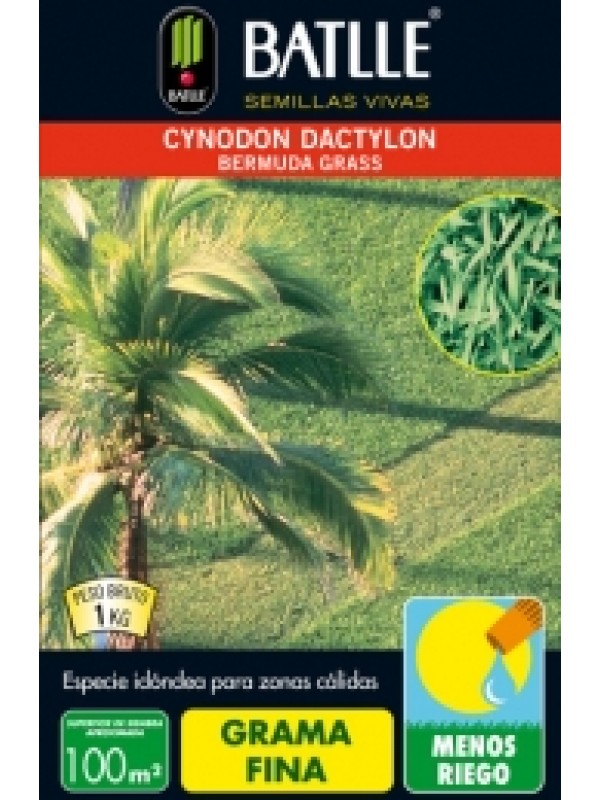 CYNODON DACTILON 1 Kg