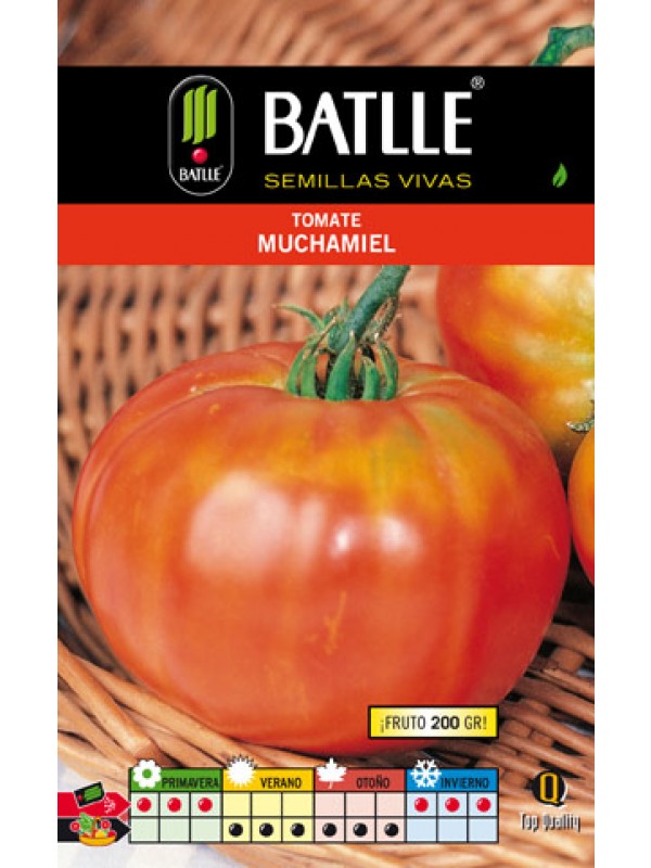 Semillas TOMATE MUCHAMIEL sobre